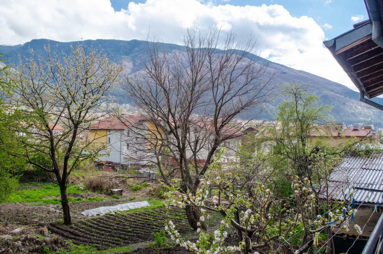 Guesthouse Juli Сапарева Баня Екстер'єр фото